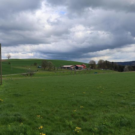 Ferienwohnung Hippenhof Hohenfels  エクステリア 写真