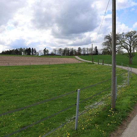 Ferienwohnung Hippenhof Hohenfels  エクステリア 写真