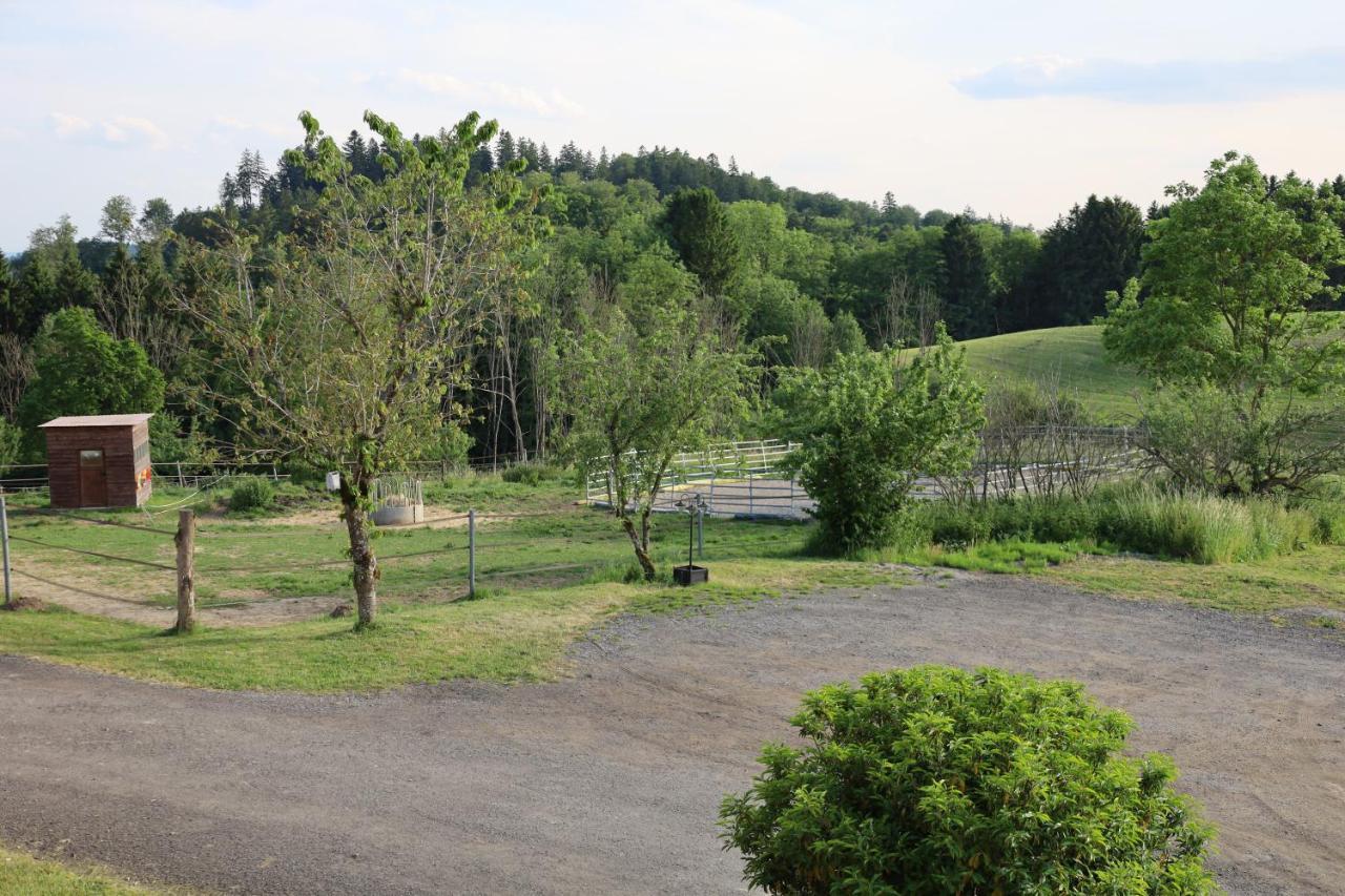 Ferienwohnung Hippenhof Hohenfels  エクステリア 写真