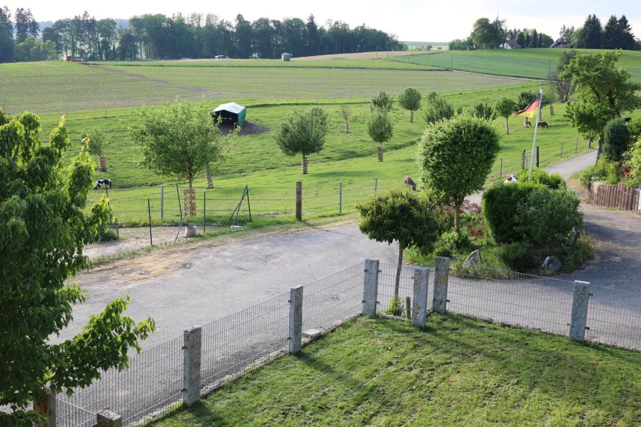 Ferienwohnung Hippenhof Hohenfels  エクステリア 写真
