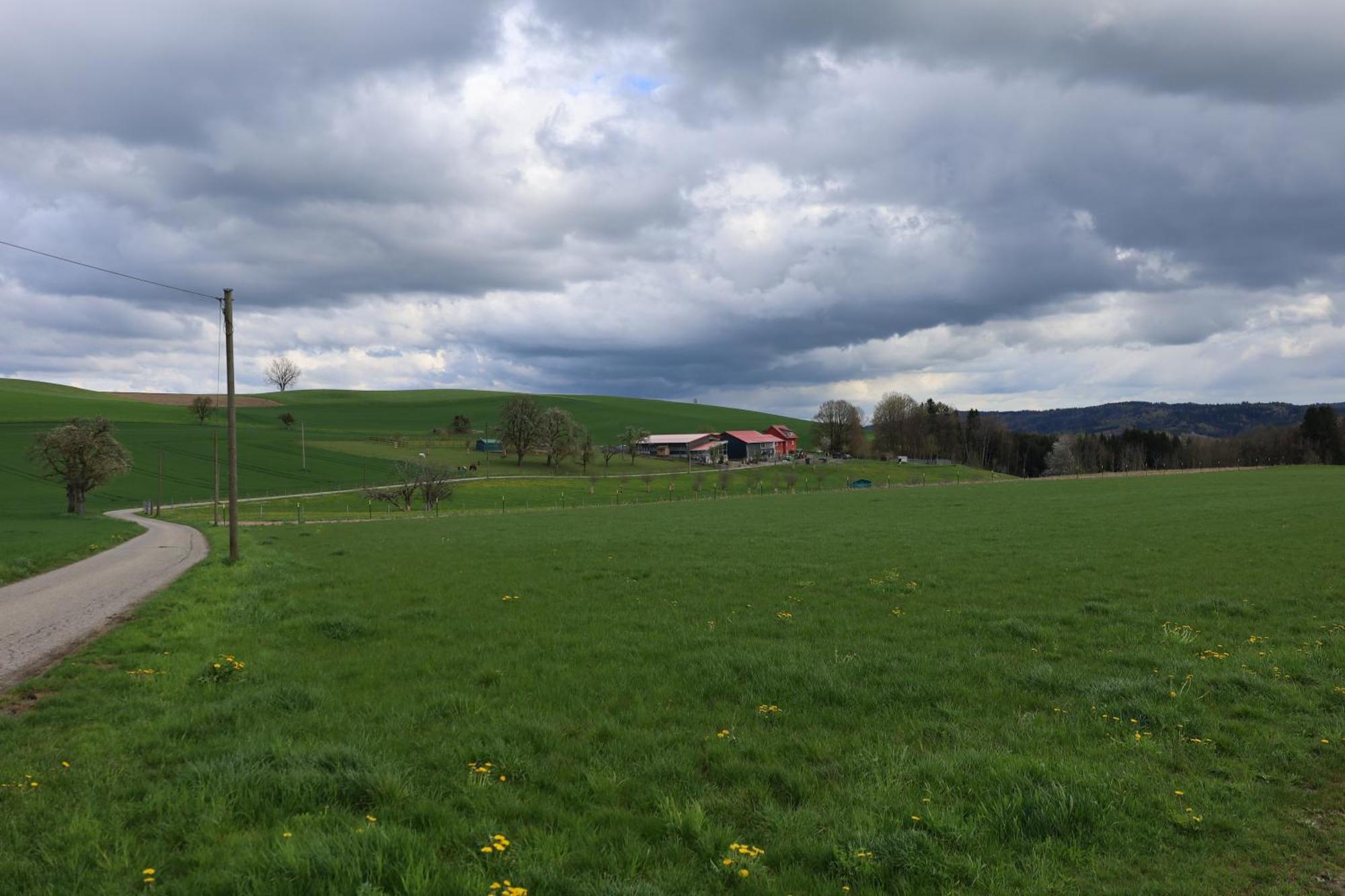Ferienwohnung Hippenhof Hohenfels  エクステリア 写真