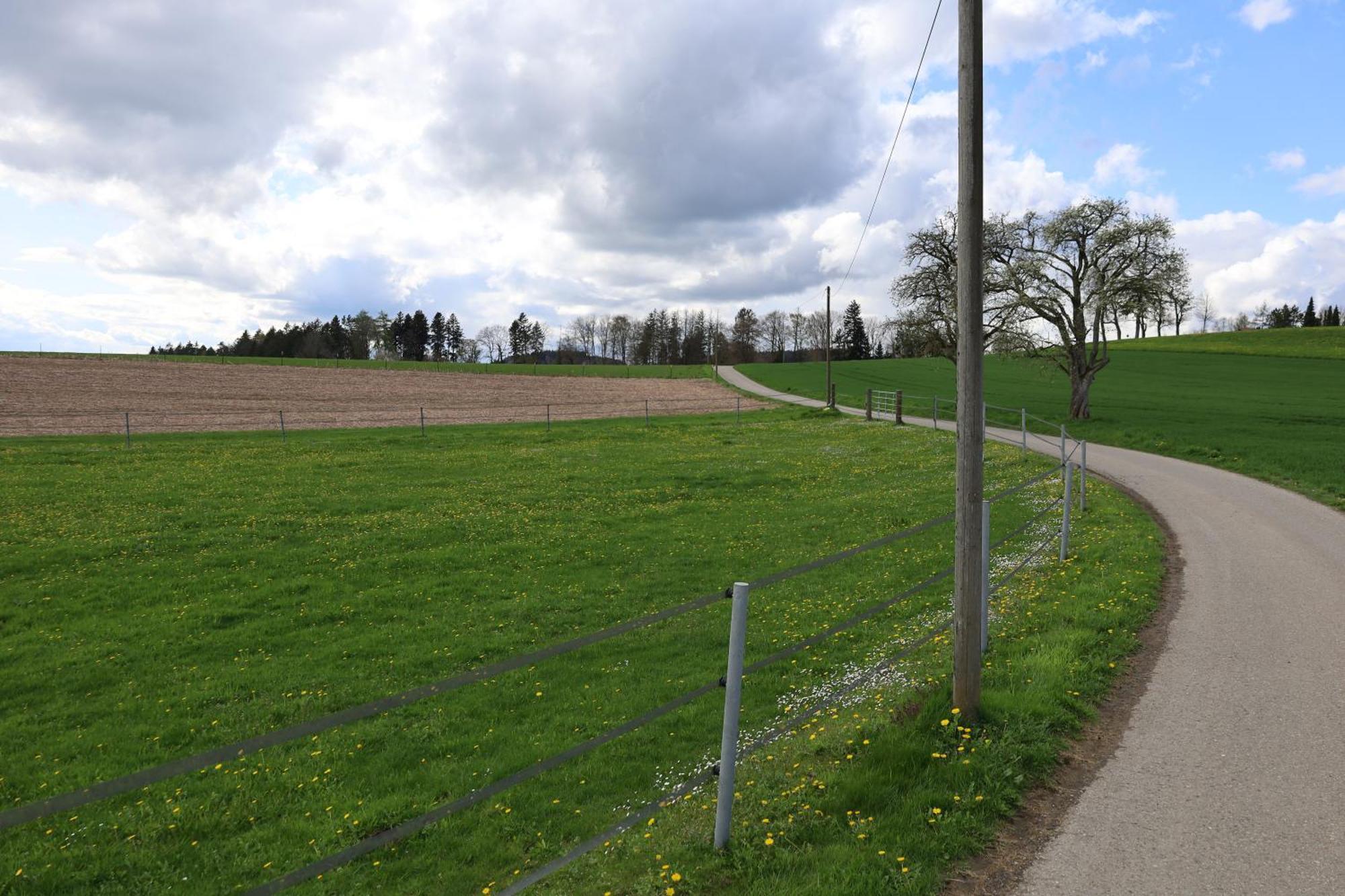 Ferienwohnung Hippenhof Hohenfels  エクステリア 写真