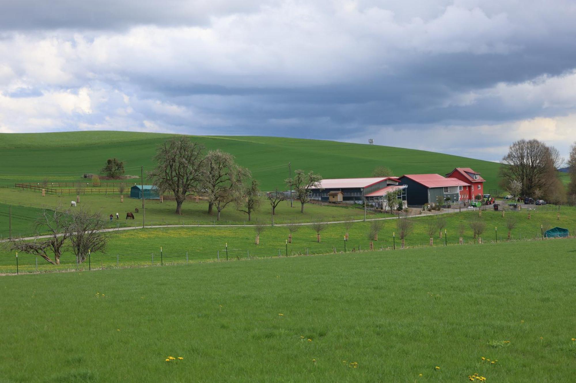 Ferienwohnung Hippenhof Hohenfels  エクステリア 写真