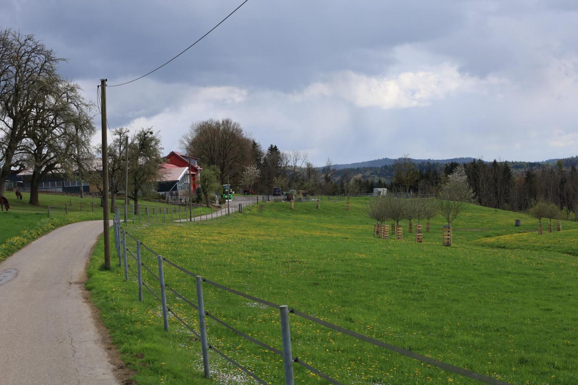 Ferienwohnung Hippenhof Hohenfels  エクステリア 写真